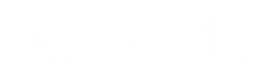 FakazaMax Logo